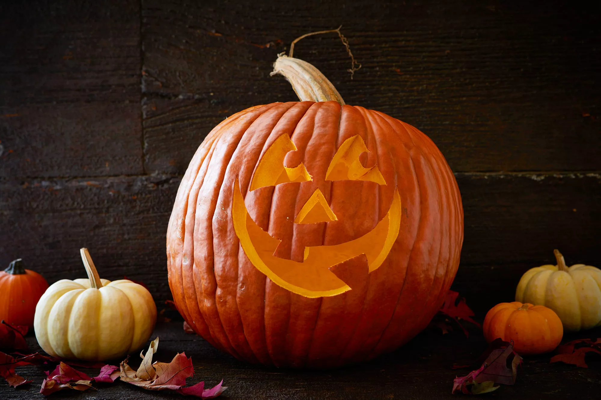 carved pumpkin silly smiling face