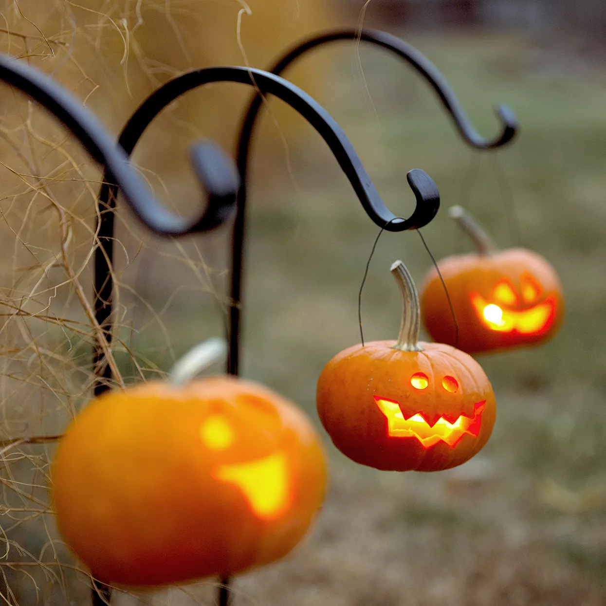 small carved jack-o-lanterns hanging from hooks