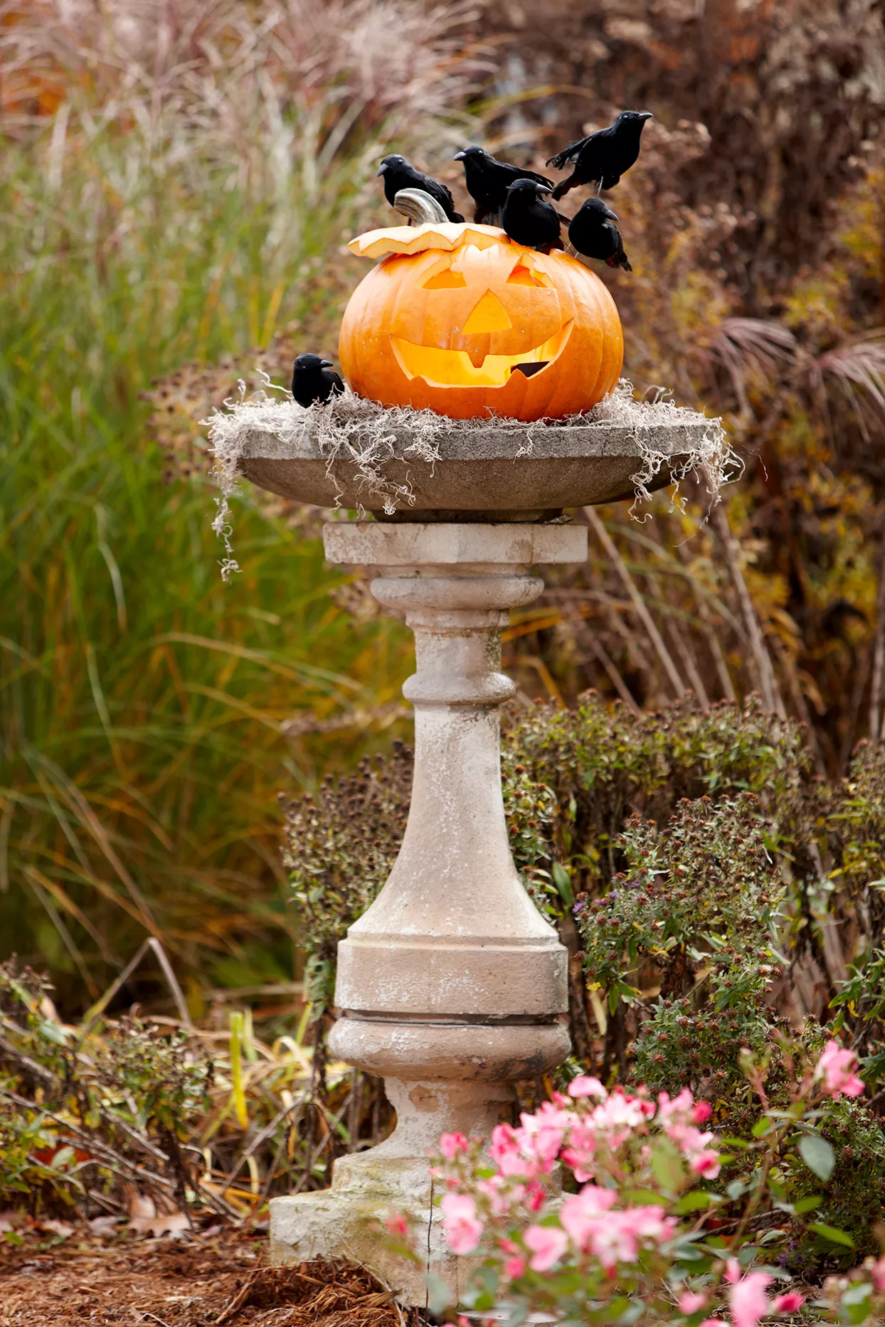 Smiling pumpkin on pedestal crows