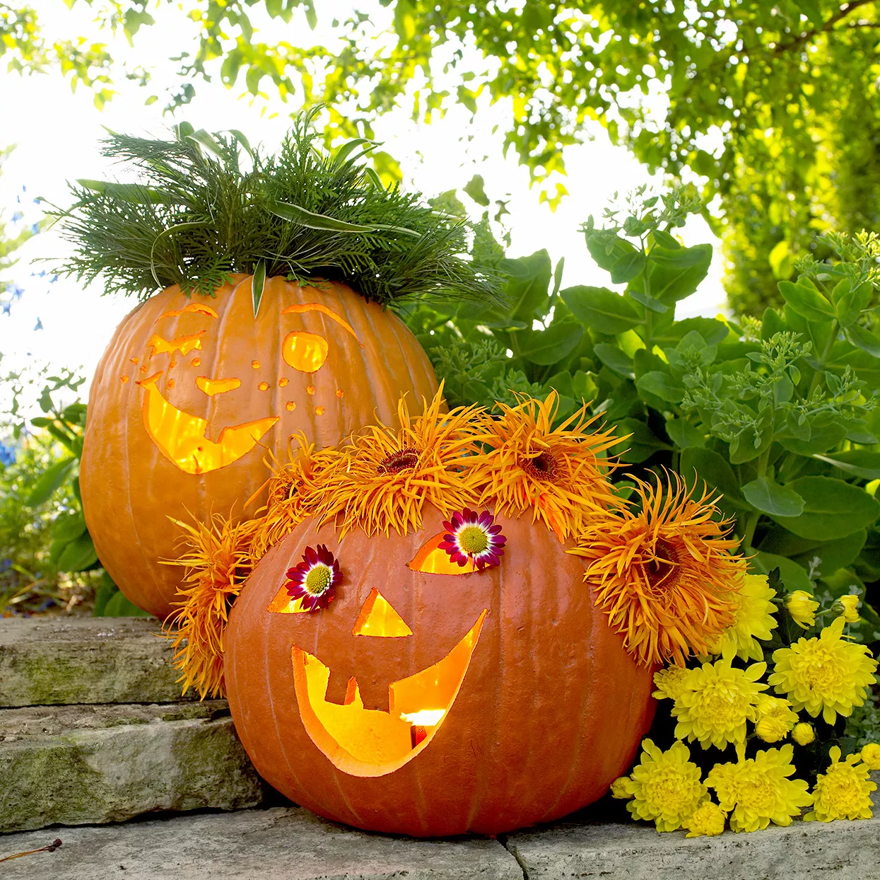 Two carved pumpkins with flowers